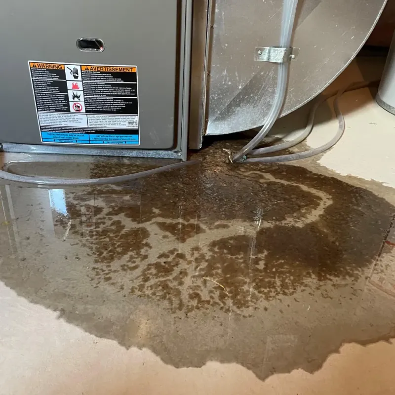 Appliance Leak Cleanup in Hopewell, NJ